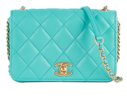 Mini Everyday Chic Flap, front view